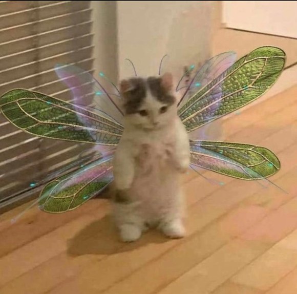 karengodswin
